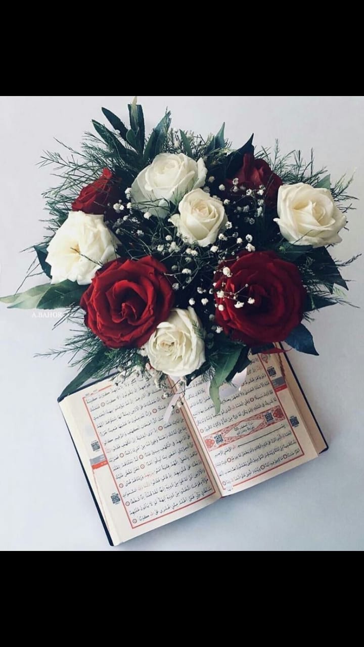 Samaher  Adnan  Abdul-Ghani Ebrahim