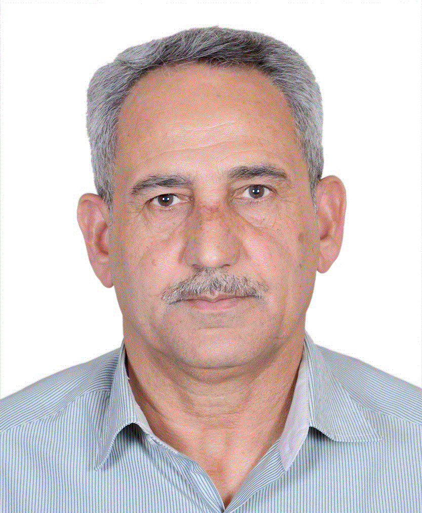 Dhia K.Kareem