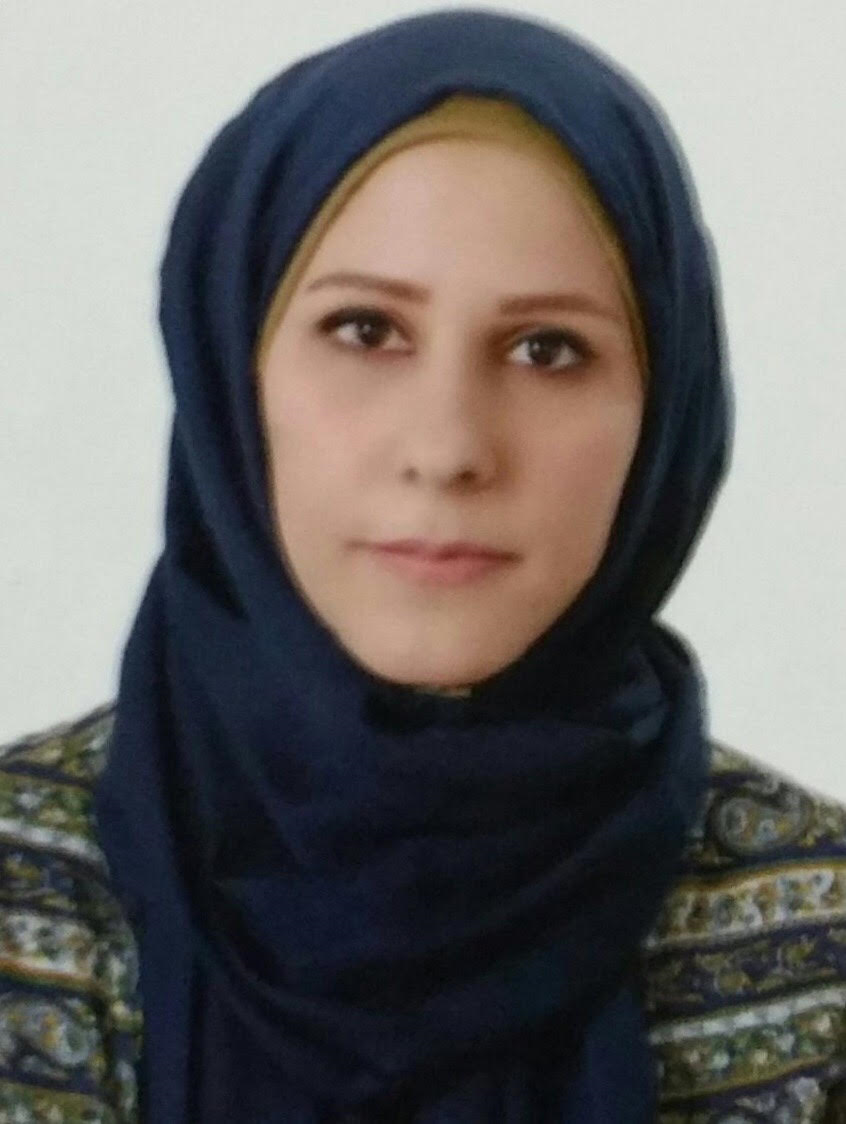 Ala'a A. Razak