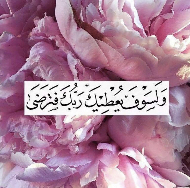 Alyaa Abdulhasan AbdulKareem