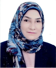 Hanaa Hussein Mohammed