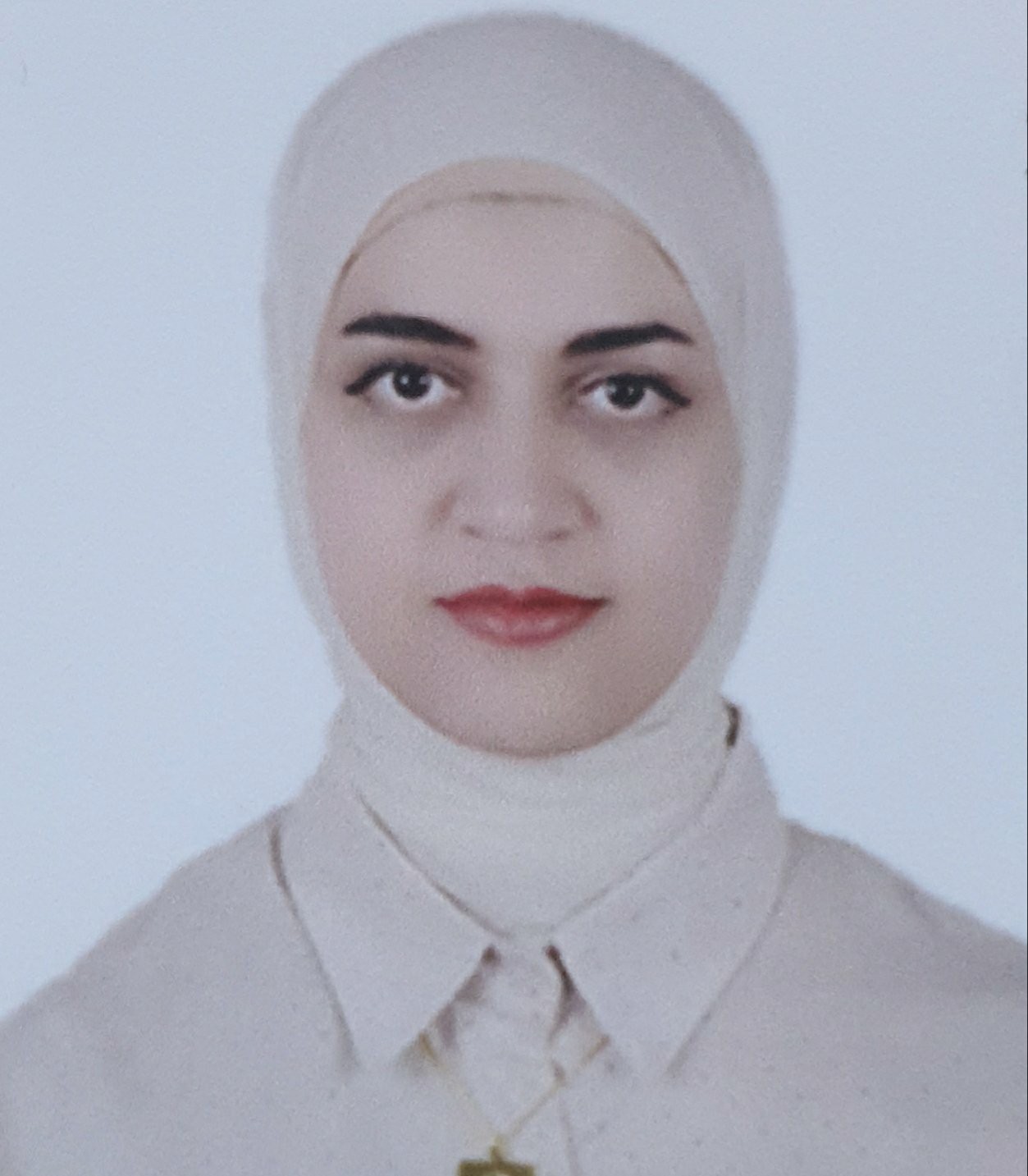 Noor Alhuda Adnan Muhsen